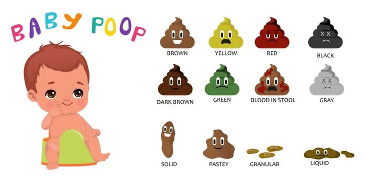 يېڭى تۇغۇلغان بوۋاقنىڭ چوڭ تەرىتى: «زاكىدىكى سىرلار» نى يېشىش يېڭى تۇغۇلغان بوۋاقنىڭ چوڭ تەرىتى: «زاكىدىكى سىرلار» نى يېشىش