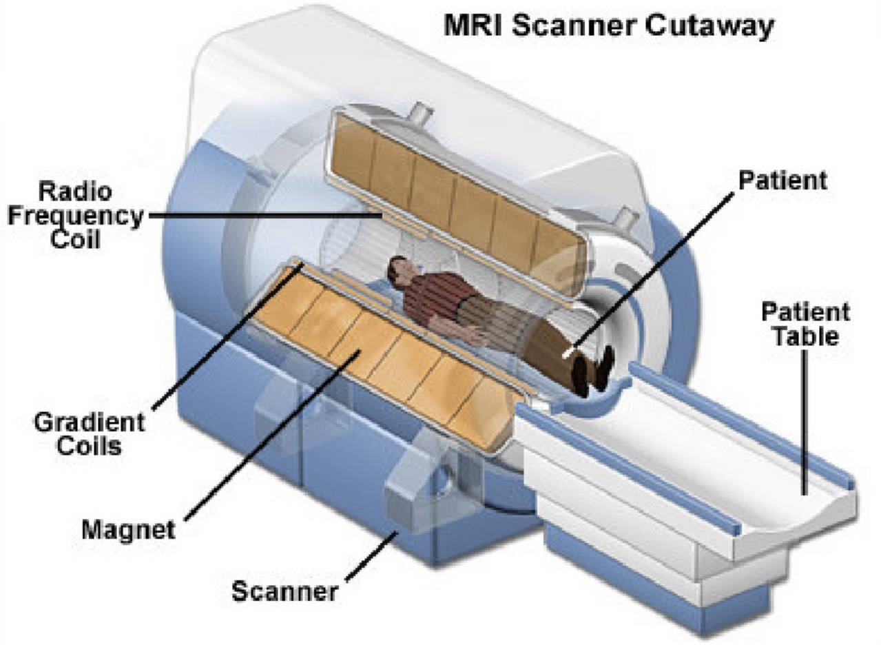 MRI تارتىش پىرىنسىپى
