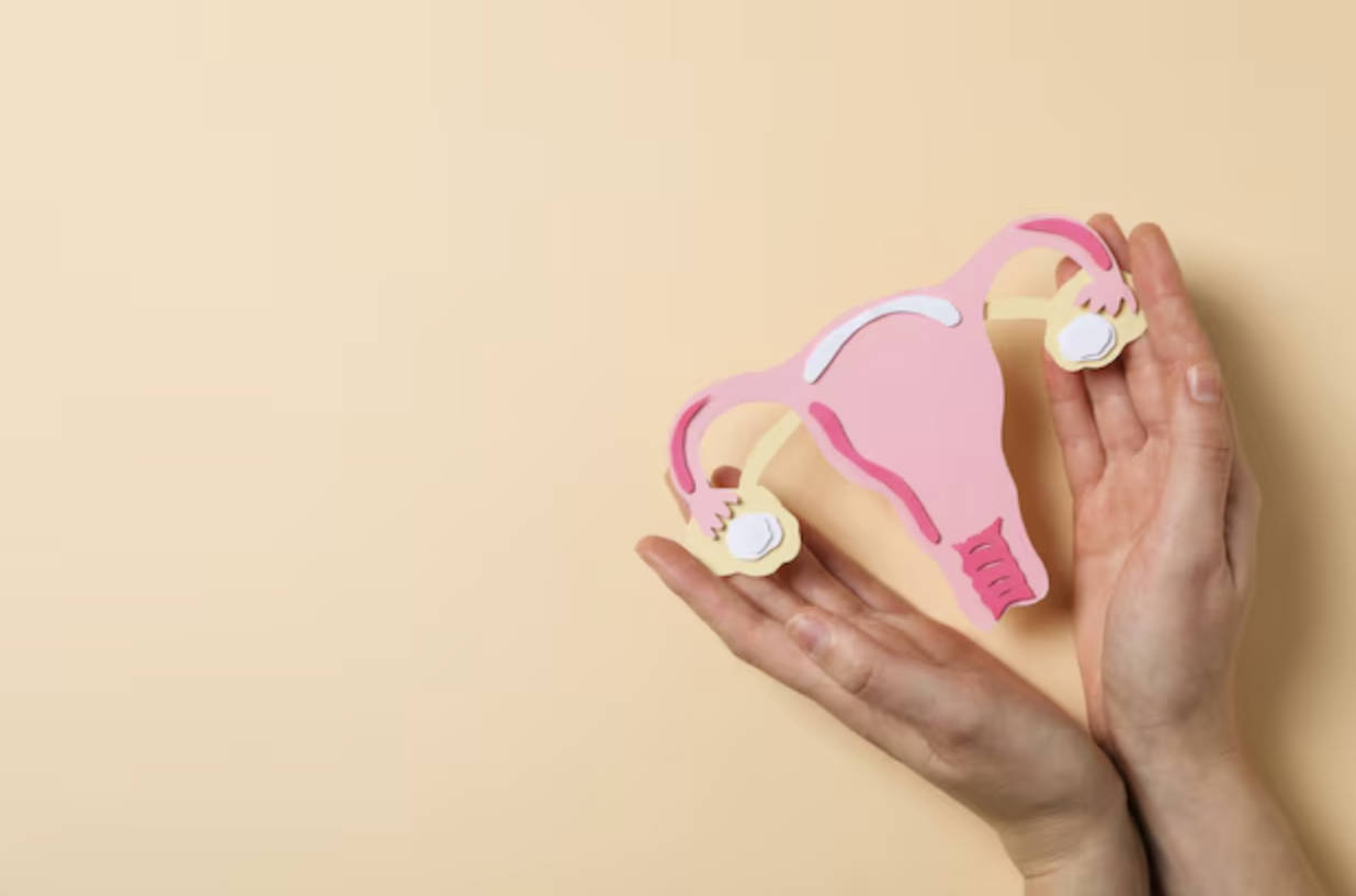 ئاياللارغا نىسبەتەن بالىياتقۇنى ئاسراش تولىمۇ مۇھىم ئاياللارغا نىسبەتەن بالىياتقۇنى ئاسراش تولىمۇ مۇھىم