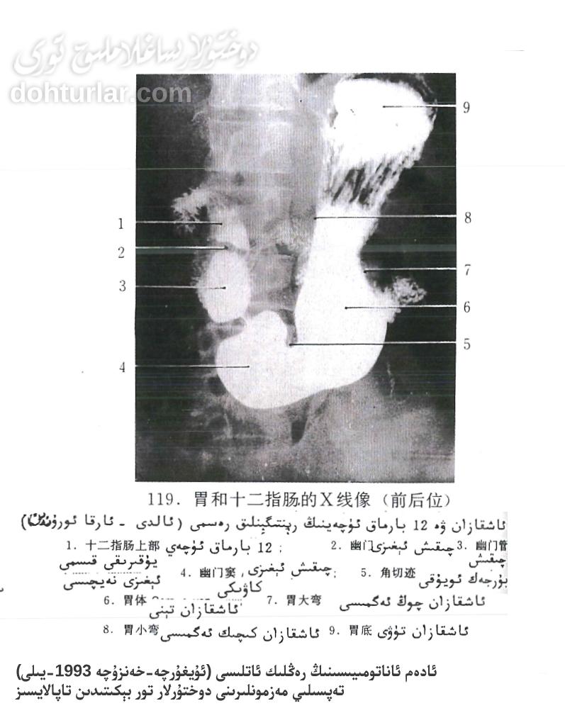 ئاشقازان ۋە ئون ئىككى بارماق ئۈچەي رېنتىگېنلىق كۆرۈنۈش