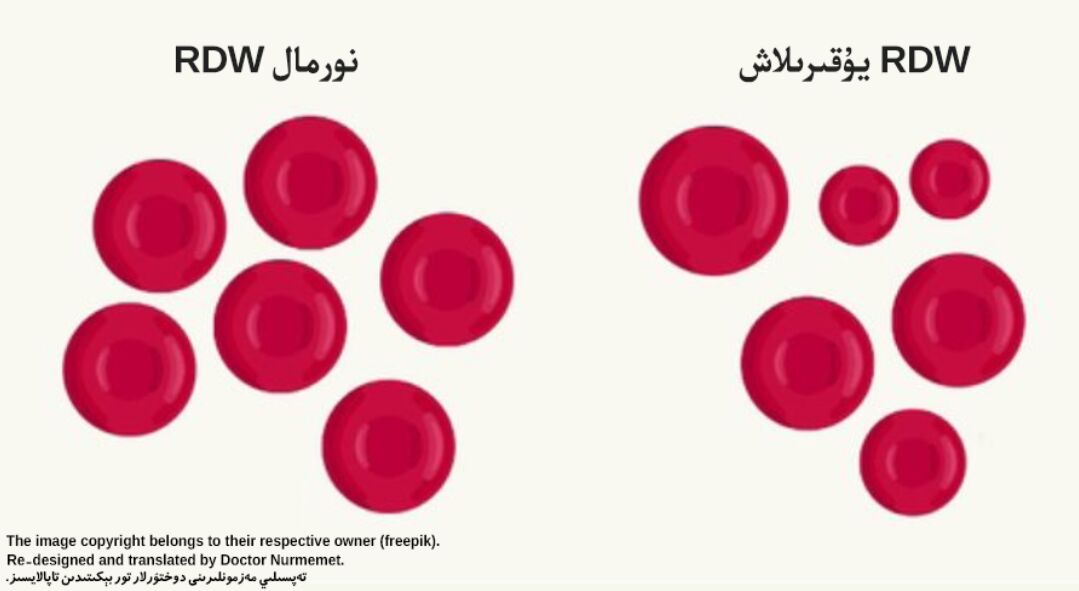قىزىل قان ھۈجەيرىلىرى تارقىلىش كەڭلىكى RDW