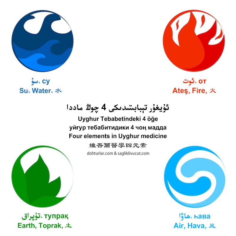 Uyghur Tebabetindeki 4 öğe